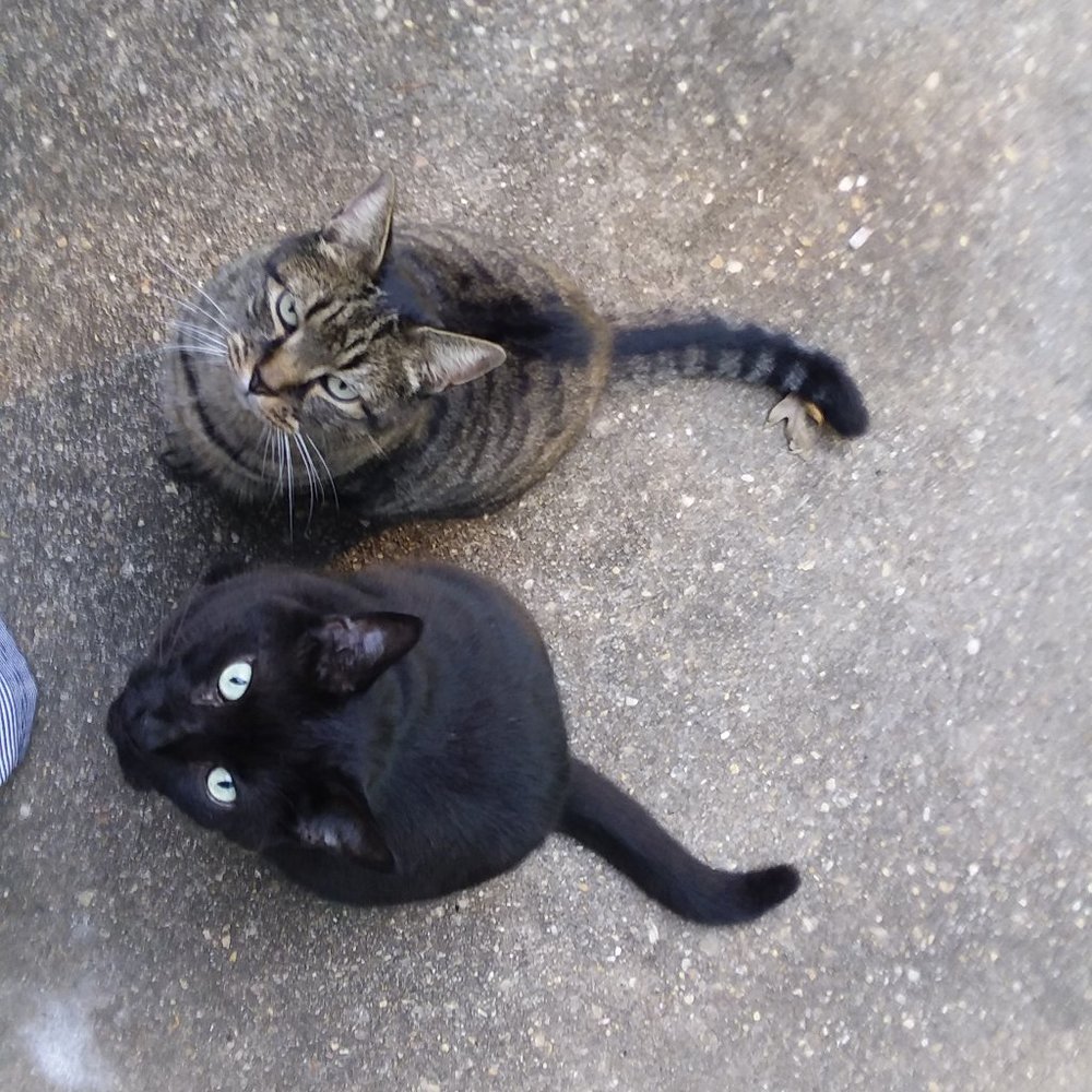 Meet your Posher, Aubrey